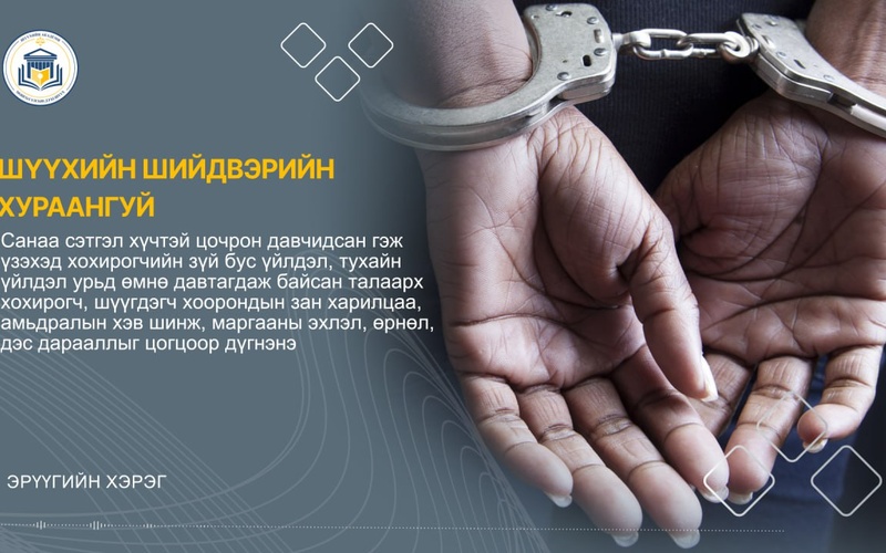 САНАА СЭТГЭЛ ХҮЧТЭЙ ЦОЧРОН ДАВЧИДСАН ГЭЖ ҮЗЭХЭД ХОХИРОГЧИЙН ЗҮЙ БУС ҮЙЛДЭЛ, ТУХАЙН ҮЙЛДЭЛ УРЬД ӨМНӨ ДАВТАГДАЖ БАЙСАН ТАЛААРХ ХОХИРОГЧ, ШҮҮГДЭГЧ ХООРОНДЫН ЗАН ХАРИЛЦАА, АМЬДРАЛЫН ХЭВ ШИНЖ, МАРГААНЫ ЭХЛЭЛ, ӨРНӨЛ, ДЭС ДАРААЛЛЫГ ЦОГЦООР ДҮГНЭНЭ