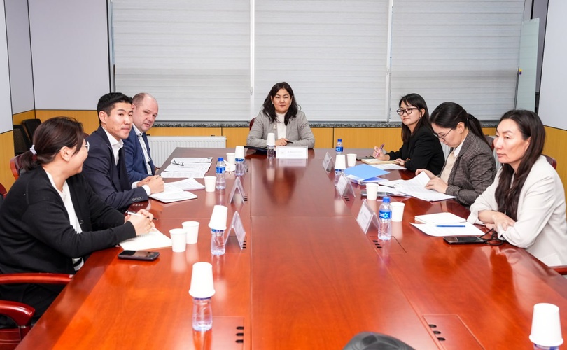 Consultative Meeting Held on the Twinning Project “Effective Implementation of Judicial Reform in Mongolia”